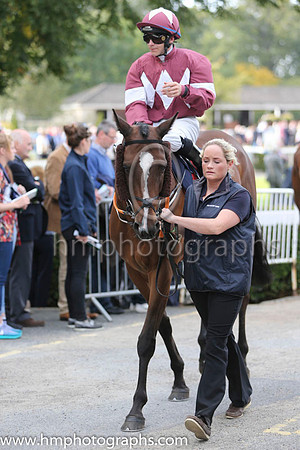 04 Bayan and W M Lordan - - 04th (4 ,maroon, white triple diamonds ) Trainer - G Elliott