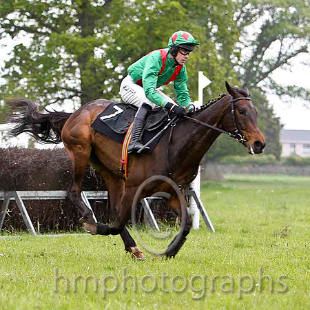 Fort View Wings , 6th, Jockey Derek O'Connor - FT8E2374-e