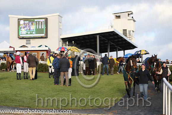 Parade Ring at Downpatrick