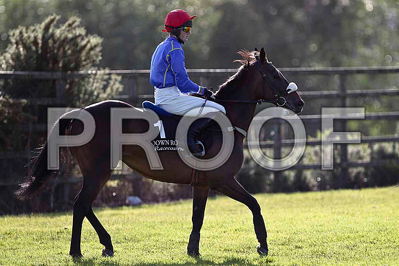 Royal Debs 5th, Jockey G N Fox- FT8E0979-e