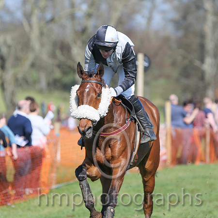 01st - A Plein Temps (3)  Derek O'Connor - Trainer: Colin S McKeever - black  white qrtd