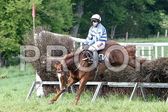 Fifth Race Div 2 - Hollyville (2) 2nd, Rider B O'Neill - CU2D9727-e