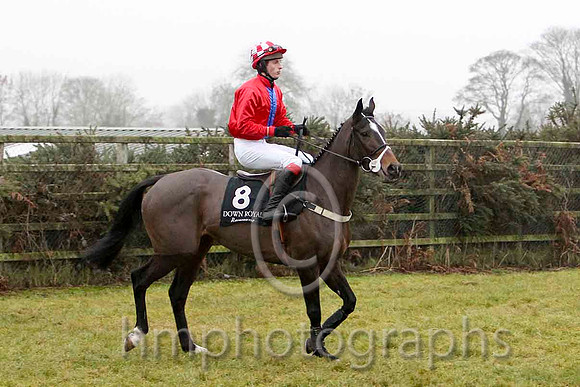 Cute N'Willin 6th, Jockey Mr P Burke - CU2D2134-e