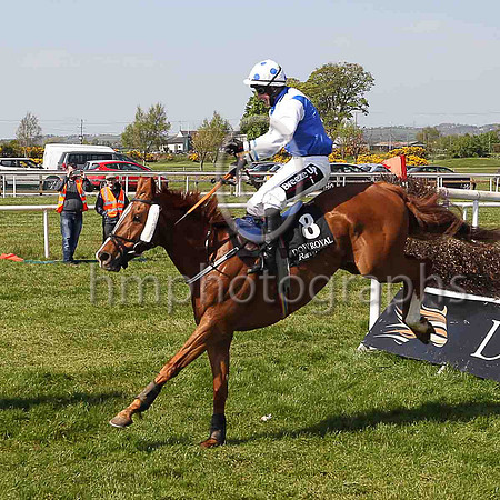02nd Winter Lion and S W Flanagan ( 8 , royal blue, white sash ) Trainer - Matthew J Smith , Owner - B J Hooper