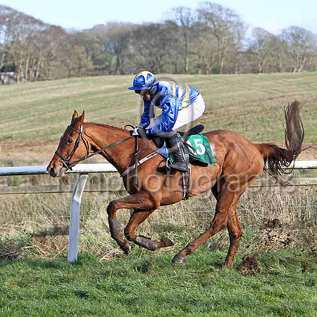 Tarkeeba (15 royal blue and yellow hoops) & C D Maxwell - 12th - FT8E9863-e