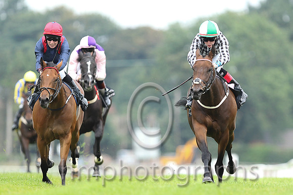 01st Go Kart ( 3 , black  white checks ) and R.P. Downey (5) - Trainer : P.J.Prendergast - Owner : J.P.M.O'Connor
