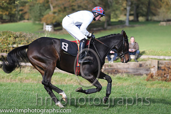 06 OneMoreZero and J Lynch - - 06th (8 ,white, blue panel ) Trainer - I R Ferguson
