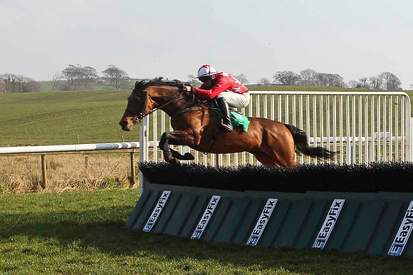 Three Monkeys - 5th, Jockey D J Bates - CU2D3684-e