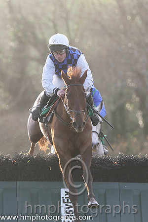 08 Diamond Gesture & P T Enright - 8th (4, royal blue and black check) - FT8E1240-65