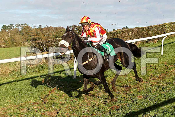 Noble Commander - Jockey R M Power - 5th - FT8E4459-e