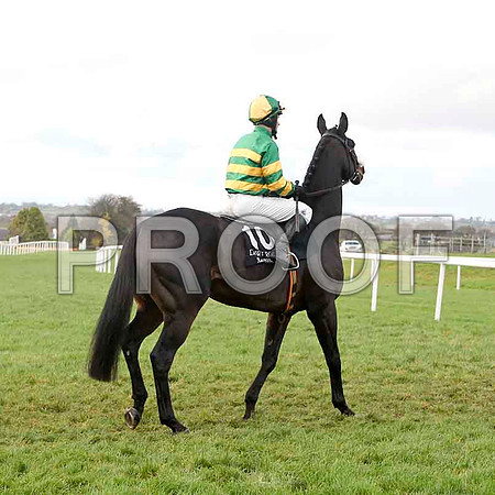 Darling Harbour , JOckey D J Casey - Winner - FT8E4877-e