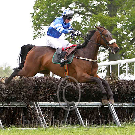 Court In Session , Winner, Jockey J J Codd -FT8E2365-e