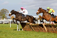 Back Off Mate & B M Cash - 7th (3, white, cyclamen sash) &  Forever Gold & P T Enright - 5th (8, yellow, maroon stars)- FT8E7809-e2