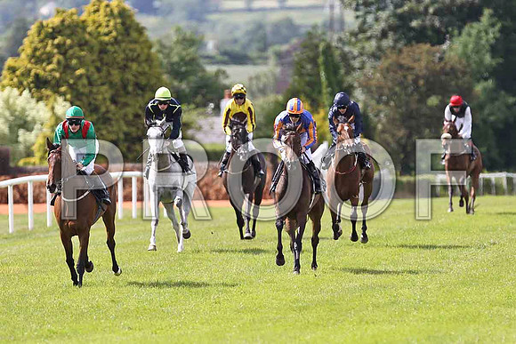 Edallora 3rd, Palma Blanca 6th, Customary Chorus 5th, Dance on By 2nd, Fit for A queen 4th & Stroke of Love  - Winner - FT8E1560-e
