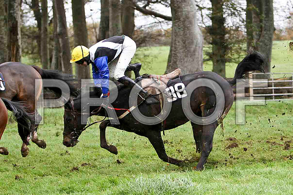 Tommy Himself - Fell , Jockey N M Kelly - FT8E5874-e