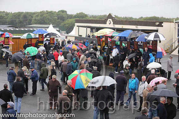 Betting Ring at Downpatrick