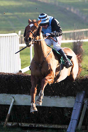 Bally Wall 4th, Jockey A E Lynch - FT8E0518-e
