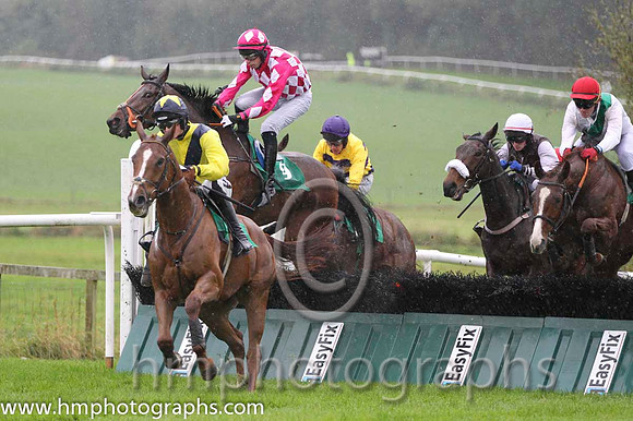 01 Old Kilcash & D E Mullins - winner (5, yellow, dark blue sash) - FT8E8907-15