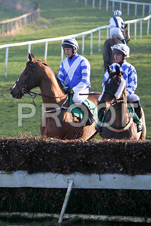 Island Peak 2nd, Jockey Mr M J O'Connor & No Reason Why 4th, Jockey Mr C MOtherway - FT8E0546-e