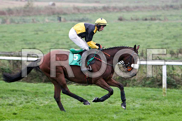 Knocklayde Euro , PU - Jockey E J O'Connell - FT8E5470-e