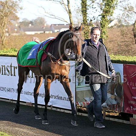 Coolcashin  5th , Jockey T J Doyle - FT8E6954-e