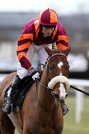 Blue Vic - 17th - Jockey K H Clarke -  - CU2D3199-e