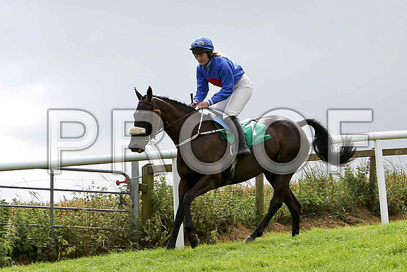 Lea Lady - 6th, Jockey Miss C L Fahey   - FT8E3866-e2