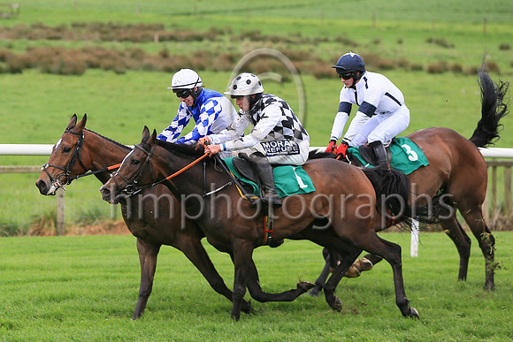 01st WILD SHOTand S. Fitzgerald (5) ( 1 , White and black diamonds ) Trainer - JOHN MCCONNELL , Owner - Cathal McGuckin