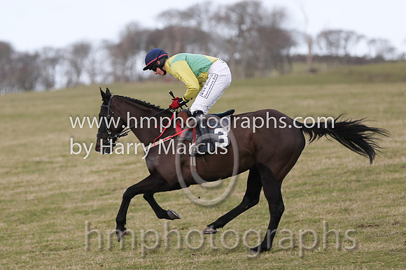01 Mr Bolt  D H Lavery - Trainer : Sean McParlan, Black and tan check