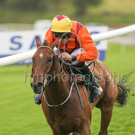 02nd Mountain Rock and D N Russell ( 2 , maroon, orange chevron ) Trainer - A Keatley , Owner - M P Fitzgerald