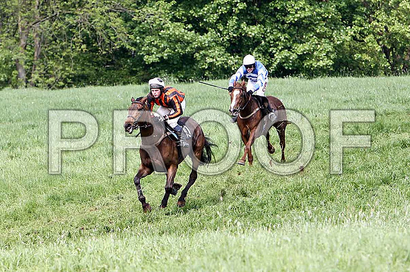 Fifth Race Div 2 - Alabama Baby (10) winner, Rider B F Brabazon &  - CU2D9724-e