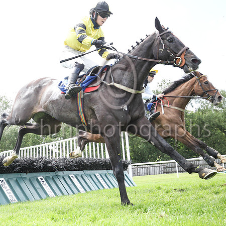 13th Glenbank King  ( 14 , yellow ) Trainer - L Smyth , Owner - Victor Robinson