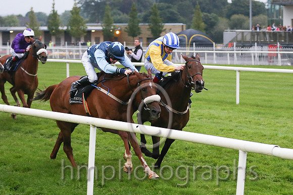 01st dh Whiteout (GER) ( 5 , yellow  royal blue stripes ) and D.P. McDonogh - Trainer : W.P. Mullins - Owner : D.Lawlor  01st dh He'llberemembered ( 6 , dark blue, light blue stars ) and T.P. Madden