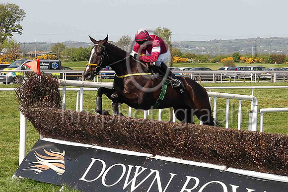 03rd Rise Of An Empire and B J Cooper ( 7 , maroon, white star, maroon cap ) Trainer - N Meade , Owner - Gigginstown House Stud
