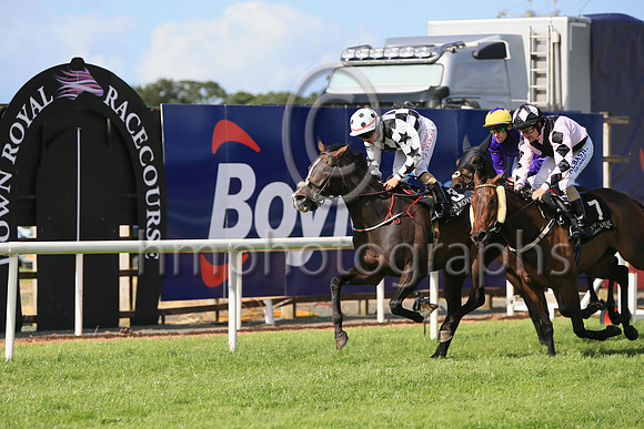 01st Wild Shot (3 black and white diamonds ) Jockey: Siobhan Rutledge5 , Trainer: John C McConnell