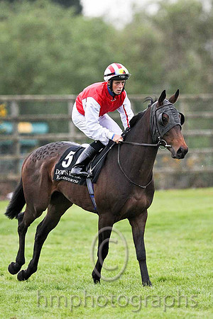 R7 - Redimir 12th, Jockey B A Curtis - FT8E0585-e
