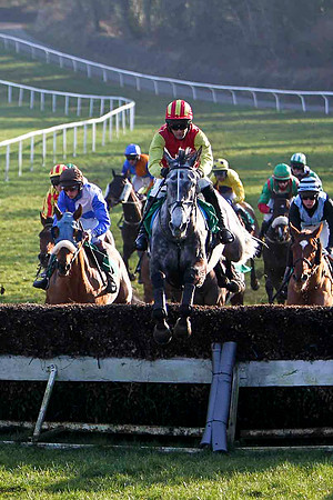 Hughies Grey Winner, Jockey M Darcy -FT8E0490-e2