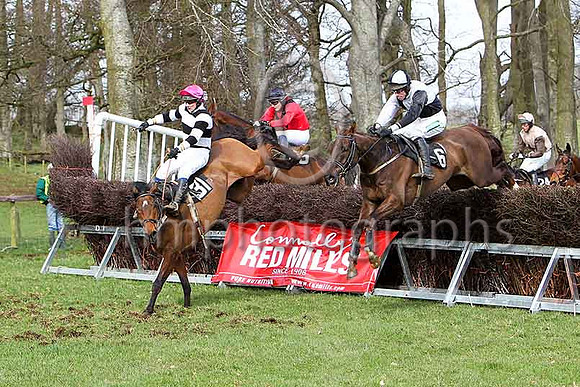Third Race - Oh Jakers (31) , Trust Ben (35) , Ballycassel (6), Finner Express (24) - CU2D7090-e