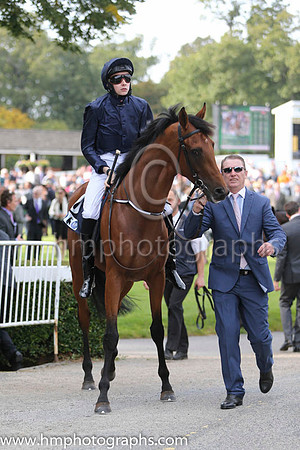 Blue Hussar and J P O'Brien - - 8th (6 ,dark blue ) Trainer - A P O'Brien