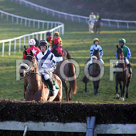 Bold Ali - Fell, Jockey Mr T Reilly - FT8E0561-e