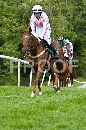 Clifton Debut , 3rd Jockey A E Lynch - CU2D1759-e
