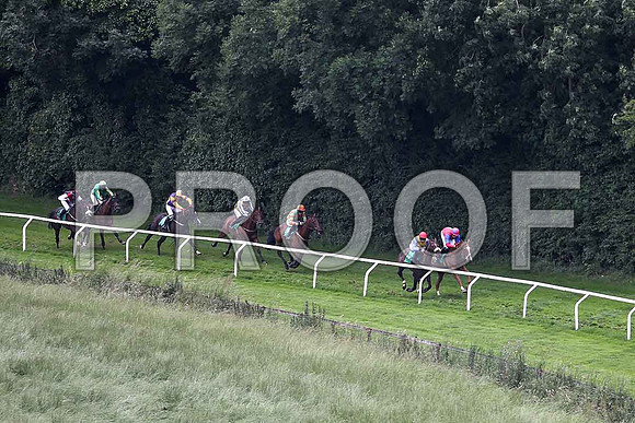 McSwynes Bay winner, Jockey K M Donoghue - FT8E1746-e