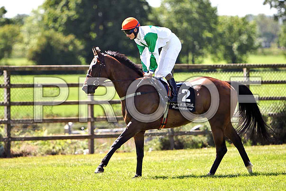 Liberty Island 2nd, Jockey F M Barry- CU2D0214-e