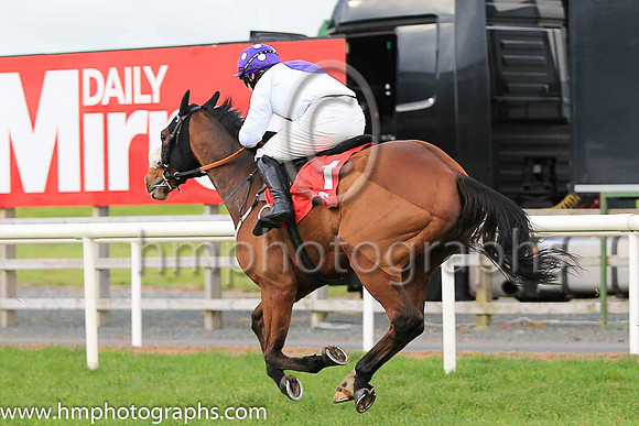 04th My Manekineko and P Townend ( 1 , white, purple disc ) Trainer - J Nash , Owner - Ka Hon Tham