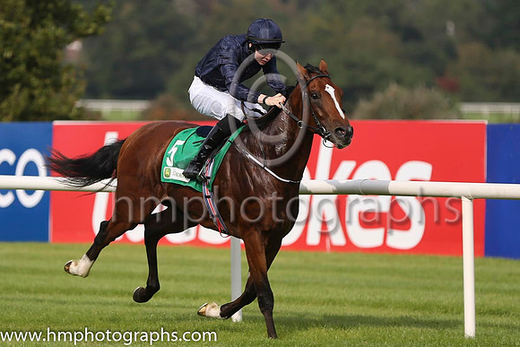 01 John F Kennedy and J P O'Brien - - 01st (5 ,dark blue ) Trainer - A P O'Brien