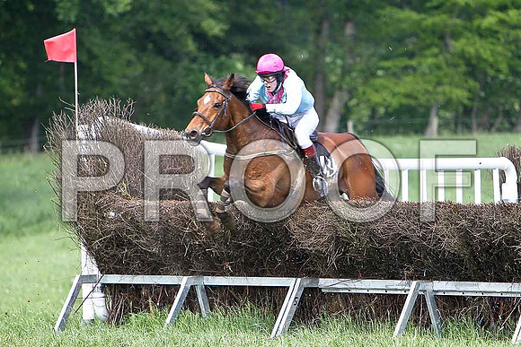 Fourth Race - Sartorious (13) 5th, Rider Ms H Kiernan - CU2D9634-e2