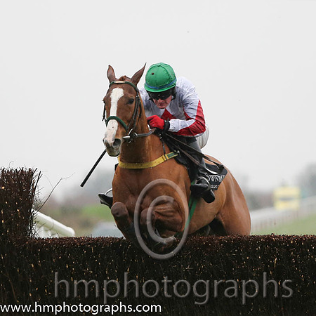 01 Down Ace and Ger Fox - - 01st (6 ,white, red diamond ) Trainer - Noel Meade