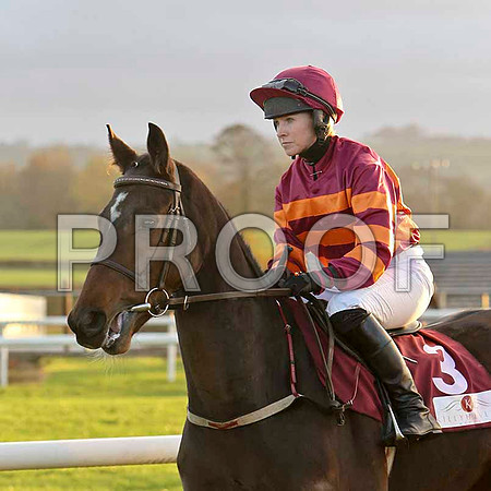 Sandra Bullet - 2nd - Jockey - Ms L O'Neill - CU2D0838-e