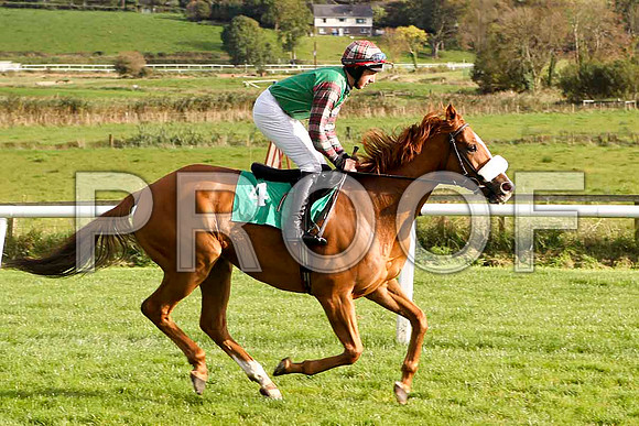 Information , Jockey C D Maxwell - 6th - FT8E4422-e