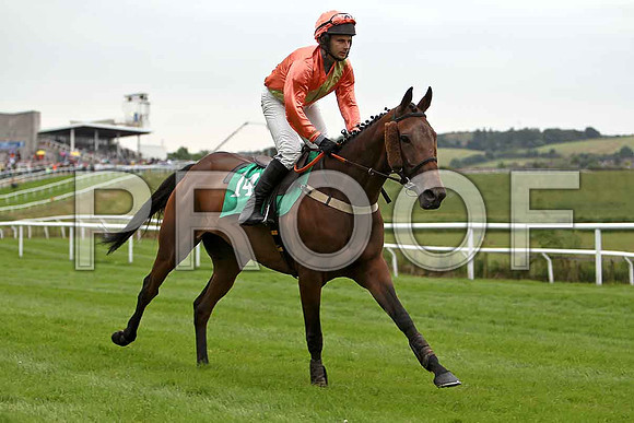 Run and Dream 10th, Jockey A P Crowe - CU2D0889-e